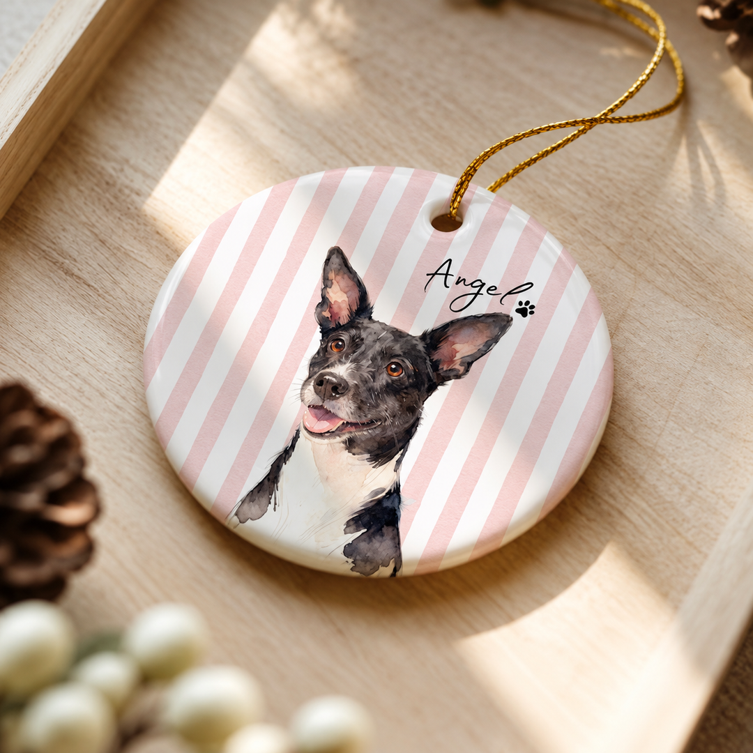 Personalized Pet Portrait Christmas Ornament – Custom Name & Striped Color Design, Double-Sided Print